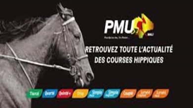 pmumalin officiel pmu